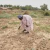 Nigeria has a food security problem as water for crops is harder to find