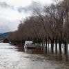 Klimaforscher: Studie: Hochwasserschäden durch Anpassung verringert
