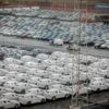 Autobehandelaar wil parkeertoren voor 10.000 wagens realiseren in haven Zeebrugge