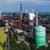 "Cela ne peut que se traduire par une diminution des exportations" : en Allemagne, la crainte des entreprises face aux nouvelles taxes douanières avec les États-Unis