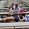 Hitzewelle: Hitzewelle heizt Deutschland bis auf 40 Grad auf