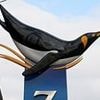 Now Edinburgh Zoo caught up in 'transgendering' row over links with controversial group