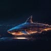 heise-Angebot: iX-Workshop: Wireshark für Fortgeschrittene - Analyse realer Netzwerkprobleme