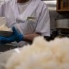Emergency reserves, high prices, rationing. How did Japan's rice crisis get this far?