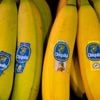 Wegen Streik: Konzern Chiquita entlässt Tausende Bananenarbeiter in Panama