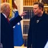 Niet alleen zijn frustratie, maar ook zijn ketaminegebruik nam toe: Musk verlaat Amerikaanse politiek na mislukte bezuinigingen