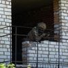 REPORTAGE. "La motivation, c’est d’abord l’argent" : au cœur de l'entraînement des jeunes ukrainiens volontaires pour faire la guerre
