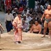 « 150 kg de muscles et de graisse » : existe-t-il un poids minimum ou maximum chez les sumos ?