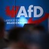 Einstufung der AfD: Brandenburger Verfassungsschutz setzt AfD-Hochstufung aus