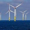Keine Käufer gefunden: Auktion für Offshore-Windkraftanlagen in der Nordsee scheitert