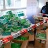 „Kokain verbreitet sich sehr stark“ : BKA-Chef Münch warnt vor Zunahme harter Drogen in Deutschland