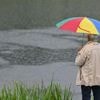 Wetteraussichten: Pulloverwetter am Samstag - Sommerlich zur neuen Woche