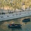 Grausiger Fund bei Paris: Polizei entdeckt vier Leichen in der Seine