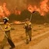 Spain at 'extreme risk' of new wildfires as 14 blazes spread