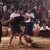The animal abuse tourist traps you need to be aware of: How holidaymakers are being duped into participating in cruelty... from cock-fighting to donkey-riding