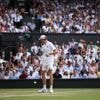 Wimbledon. « Ne les faites pas sauter » : un bouchon de champagne gêne la finale Alcaraz - Sinner
