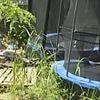 Boy, nine, and seven-year-old sister found in nappies and 'unable to speak' hidden living on remote farm - as father says 'I just wanted to protect them'