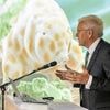 Naturschutz: Tapsig und zäh: Neue Bärtierchenart nach Kretschmann benannt