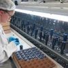 Automobile, vins, cosmétique… Quels secteurs sourient ou grimacent, avec des droits de douane à 15 %