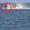 KIJK. Dwergvinvis nadert motorboot en veroorzaakt chaos voor Amerikaanse kust: man valt overboord