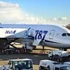 Chilling video shows manic passenger who tried to kill all onboard flight to Houston