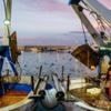 UK proposes wider ban on destructive bottom trawling