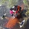 Terrifying 36-hour ordeal as survivors cling onto side of plane after crash landing in alligator-infested swamp