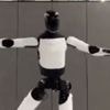 Tesla Optimus Bot: Video soll verkörperte Intelligenz belegen