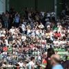 Rugby. Top 14 : au Stade Nantais, on préfère Vannes à La Rochelle