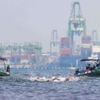 WM in Singapur: Drittes Gold: Wellbrock dominiert bei WM im Freiwasser