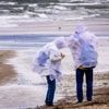 Wetter im Norden: Umgestürzte Bäume und ausgefallene Fähren durch Herbststurm