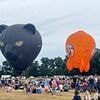 Deflated families brand balloon festival a 'rip-off' after £20-a-head event