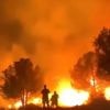 Brutal Turkey fires spread fuelling travel chaos at tourist airports as ‘petrol arsonist’ arrested & 1,000 fight blazes