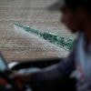 Falls Vergleich scheitert: Bayer erwägt Insolvenz für Monsanto, um Glyphosat-Kläger loszuwerden