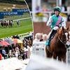 Lucky punter beats the bookies with huge £5,000 payday after rank 150-1 outsider caused stunning upset at Glorious Goodwood