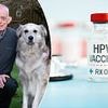 A tiny lump in Steve's mouth turned out to be a deadly tonsil tumour. As cases of head and neck cancers soar 20 per cent, doctors pinpoint the very surprising cause - and tell how to protect yourself