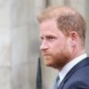 As clock ticks down on Harry's security court appeal, why did his pleas fail?