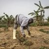 Au Nigeria, des fonctionnaires priés de prier pour faire reculer la faim