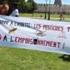 PODCAST. Le retour d'un pesticide retoqué, le futur de Gaza et South Park appuie là où ça fait mal : ça dit quoi ce 8 août ?
