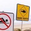 Man dies after suspected shark attack in Sydney