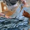 "Le système actuel ne marche pas, il faut le remplacer" : comment fonctionne le jugement majoritaire, cette méthode d'élection alternative ?
