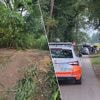 Vermoorde man (41) die werd begraven in Meer is afkomstig uit Suriname en verbleef in Amsterdam: “Team Grootschalige Opsporing opgestart in Den Haag”