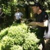 Foires aux plantes, marche de printemps, fête de la nature… Douze sorties autour du jardin en mai