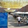 Rekordtemperaturen gemessen: Hitzewelle lähmt öffentliches Leben in Frankreich
