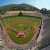 Managers miffed at offshore sports betting on Little League World Series
