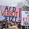 Nach Einstufung als rechtsextrem: Fast die Hälfte der Deutschen ist für AfD-Verbot