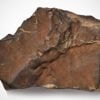 Sotheby's: Wertvollster Meteorit vom Mars für 5,3 Millionen US-Dollar ersteigert