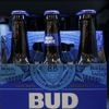 AB InBev gaat 300 miljoen dollar investeren in zijn fabrieken in de VS