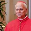 Élection du pape : qui est Léon XIV, le nouveau souverain pontife ?