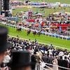 CALUM McCLURKIN: Half-empty hill at Epsom on Derby day should be the final warning that racing needs to get its act together to stay in the mainstream consciousness